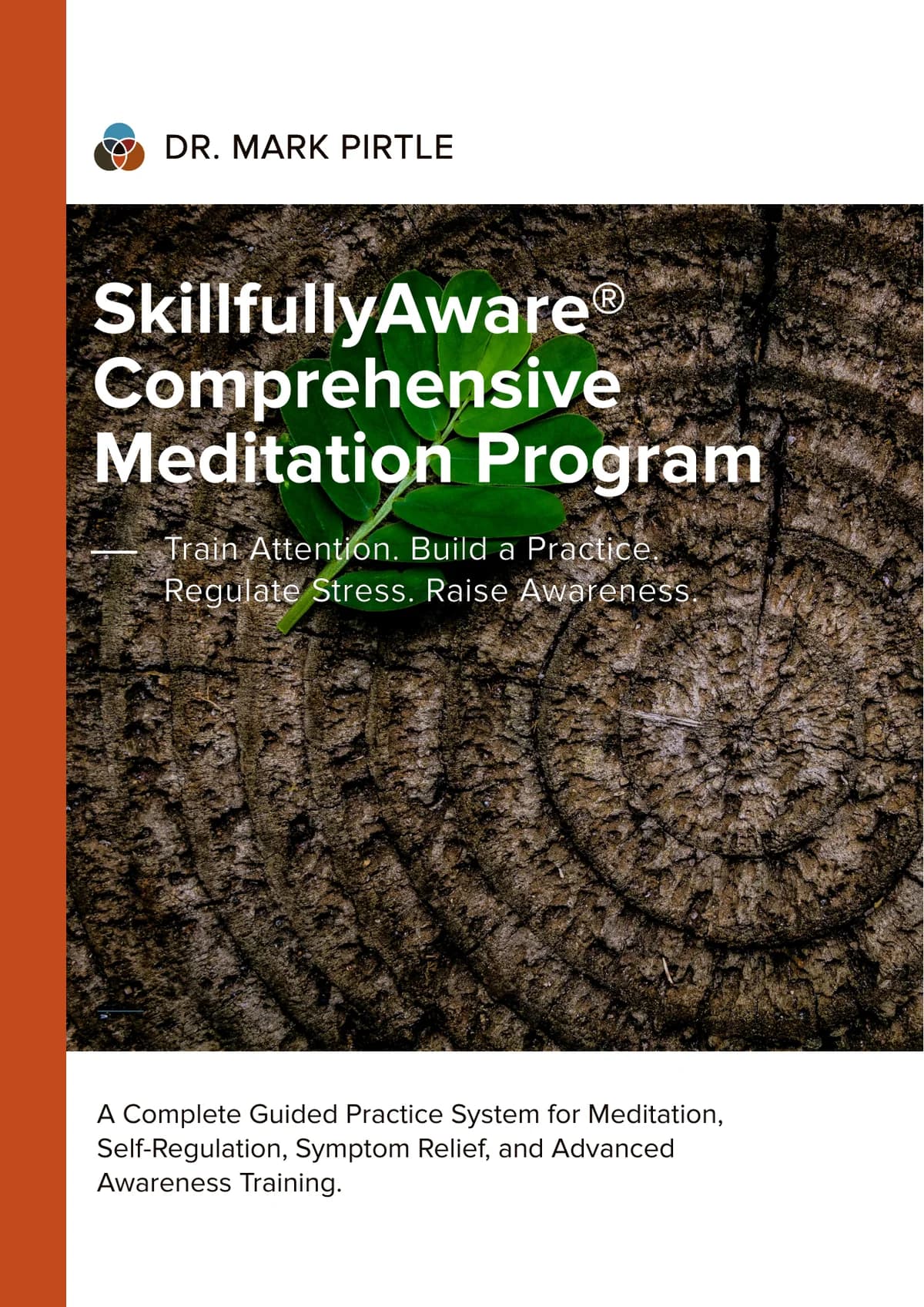Comprehensive SkillfullyAware Meditation Program