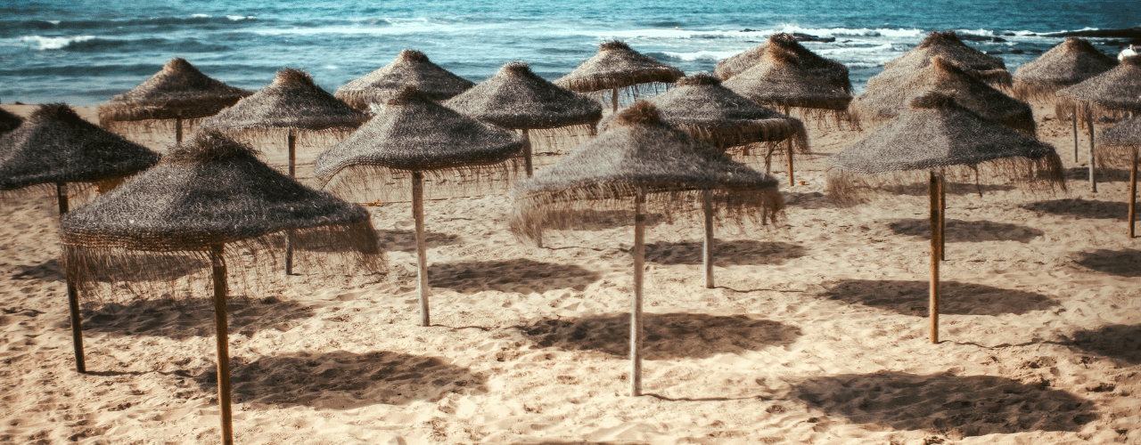 Lucid Dreams and Plant Medicine
