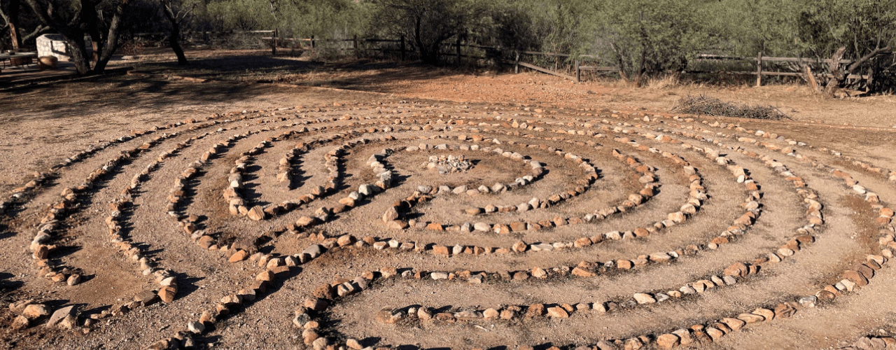 Illuminating the Shadow Self and Breaking Free from Stuck Patterns with Plant Medicine
